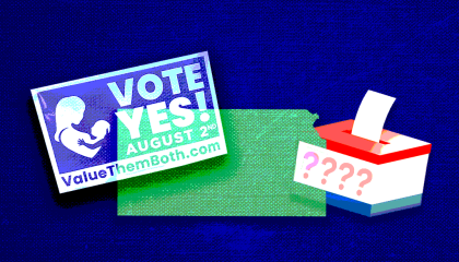 Navy blue background with a Value Them Both sign, the state of Kansas, and a ballot box imposed on top