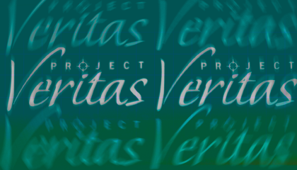 Green project veritas logo slightly blurry